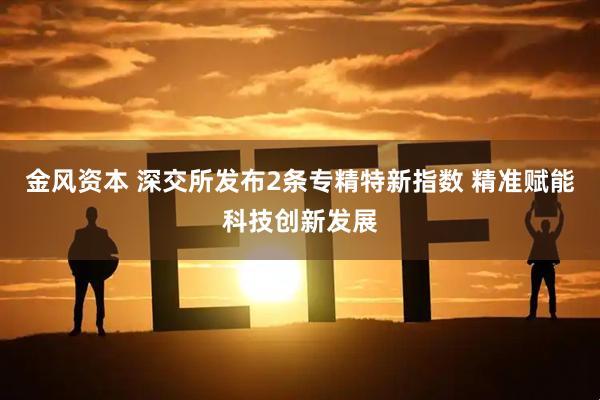 金风资本 深交所发布2条专精特新指数 精准赋能科技创新发展