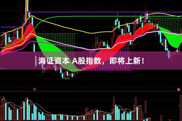 海证资本 A股指数，即将上新！