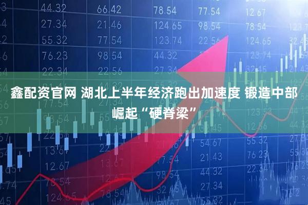 鑫配资官网 湖北上半年经济跑出加速度 锻造中部崛起“硬脊梁”