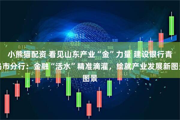 小熊猫配资 看见山东产业“金”力量 建设银行青岛市分行：金融“活水”精准滴灌，绘就产业发展新图景