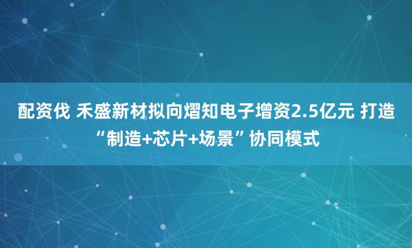 配资伐 禾盛新材拟向熠知电子增资2.5亿元 打造“制造+芯片+场景”协同模式